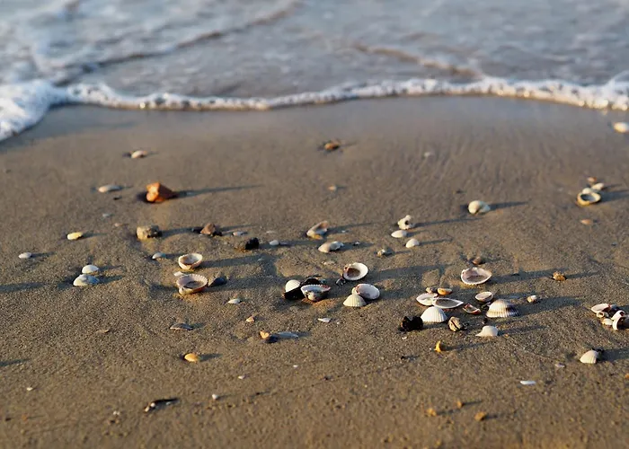 Апартаменти Comfortable Flat With Pool In A Excellent Location